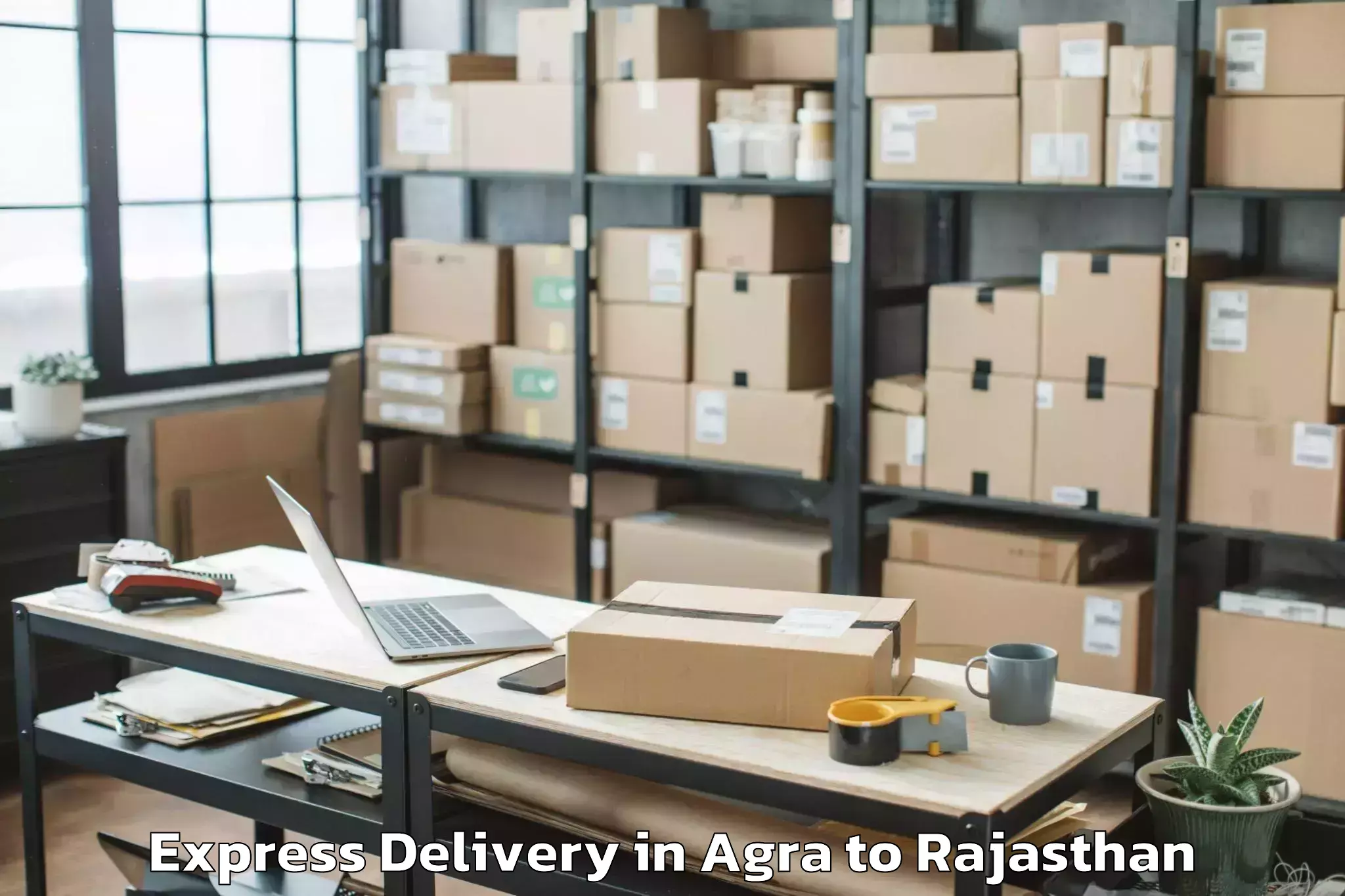 Top Agra to Central University Of Rajastha Express Delivery Available